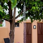 Kristina's Aparthotel Rhodes City